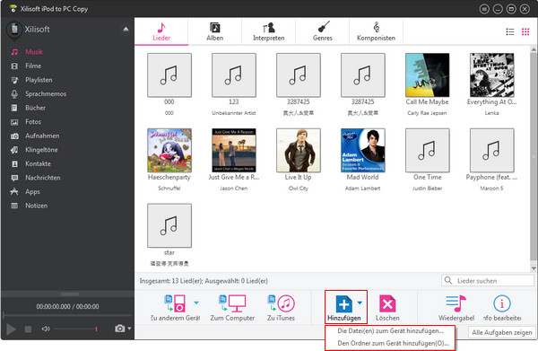 ipod auf pc