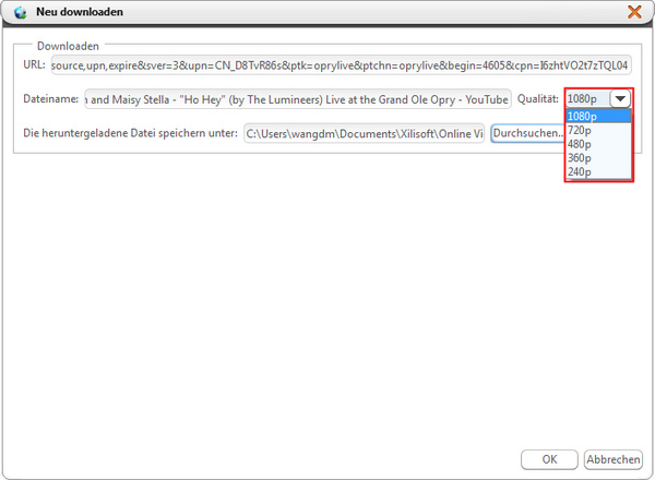 Online Video Downloaden Anleitung
