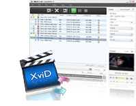 XviD Video Converter- xvid umwandeln